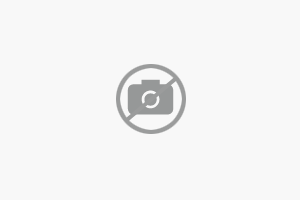 TÉLIGUMI - GOODYEAR ULTRA GRIP PERFORMANCE 3 215/55 R17 98 XL Kép